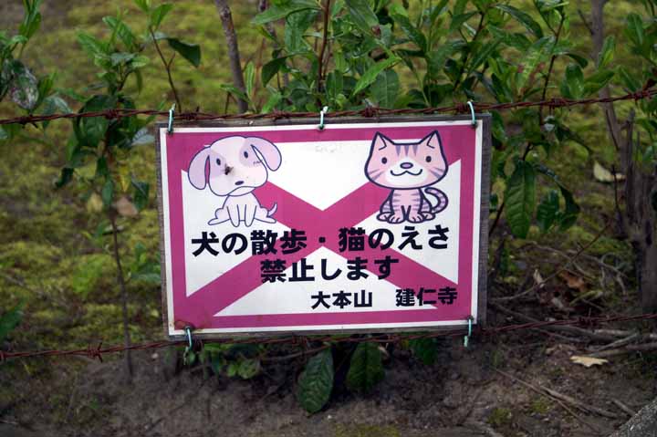 This picture is for quick loading of picture.