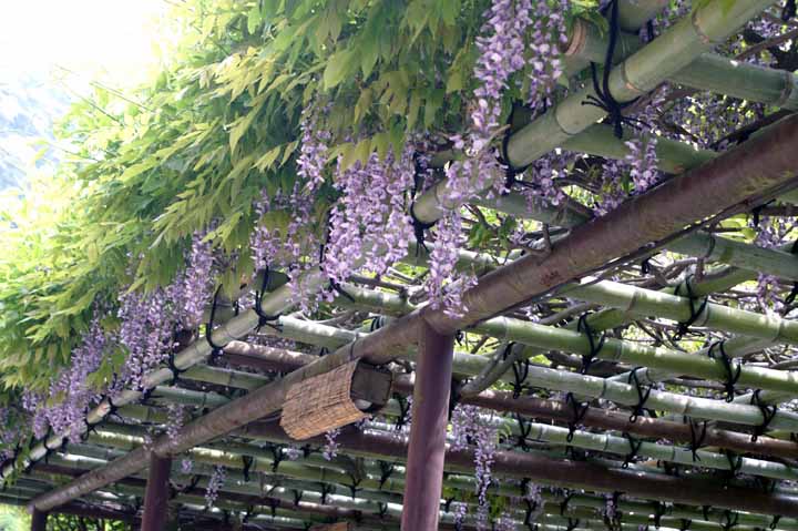 This picture is for quick loading of picture.