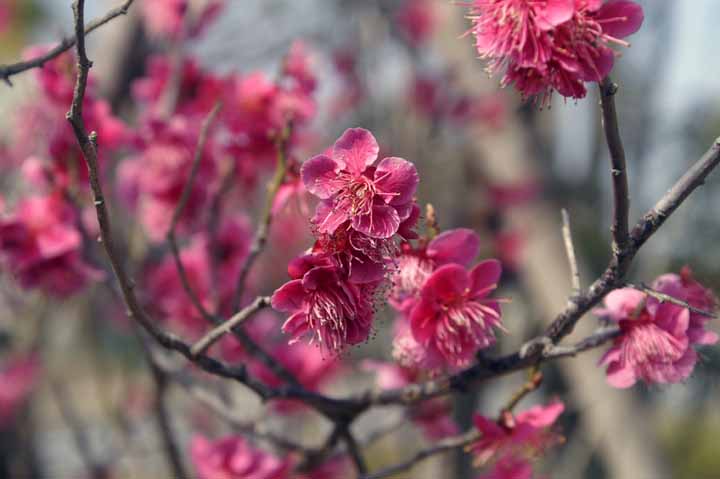 This picture is for quick loading of picture.