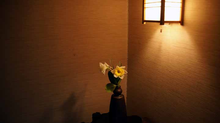 This picture is for quick loading of picture.