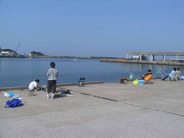 This picture is for quick loading of picture.