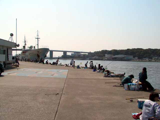 This picture is for quick loading of picture.