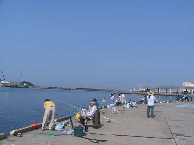 This picture is for quick loading of picture.