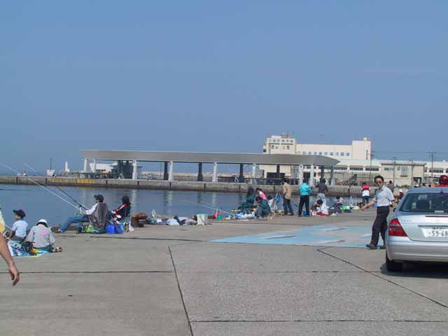 This picture is for quick loading of picture.