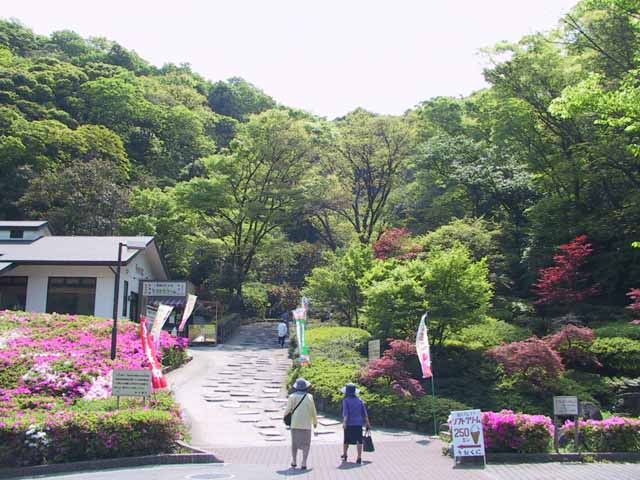 This picture is for quick loading of picture.