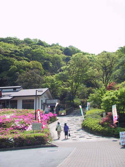 This picture is for quick loading of picture.