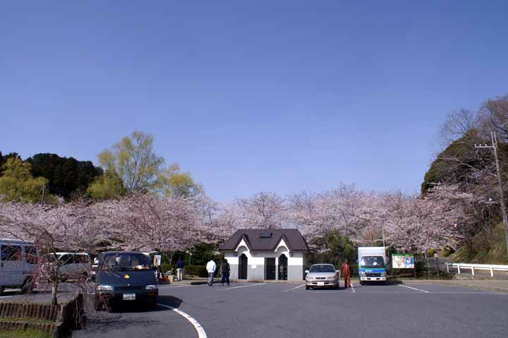 PICT5242.jpg
 ORG[720 x 479] NOW[ 720 x 479]
(�␳�O�{�����{���␳������100���ŕ\����)