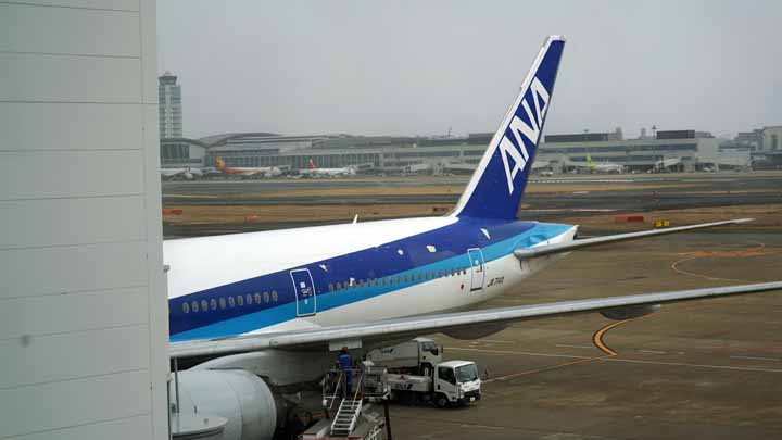 This picture is for quick loading of picture.