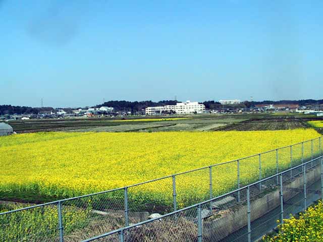 IMG_3462.jpg
 ORG[640 x 480] NOW[ 640 x 480]
(�␳�O�{�����{���␳������100���ŕ\����)