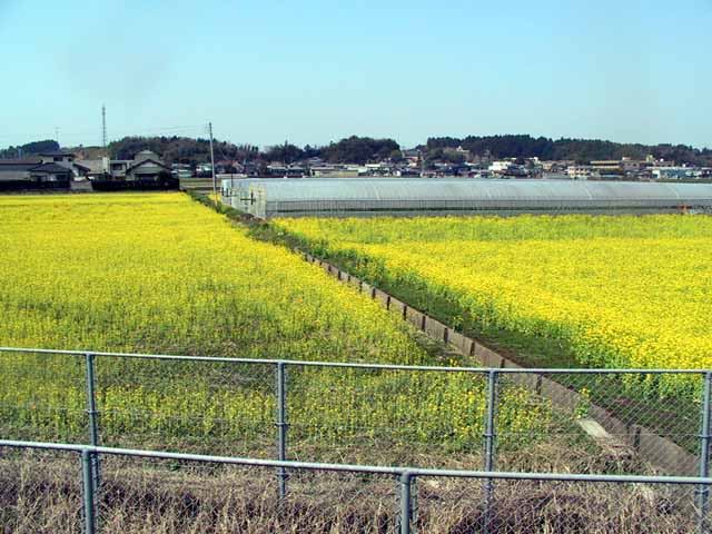 This picture is for quick loading of picture.