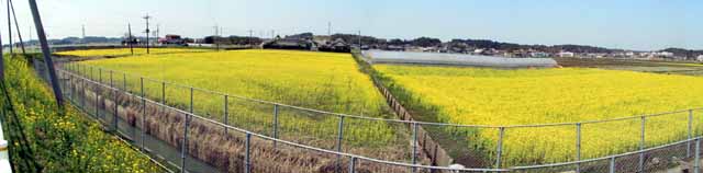 This picture is for quick loading of picture.