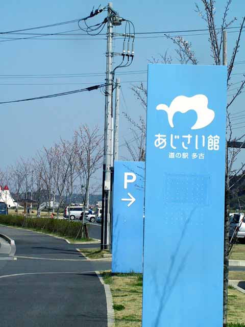 This picture is for quick loading of picture.