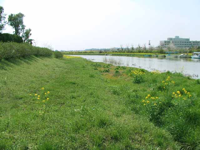 This picture is for quick loading of picture.