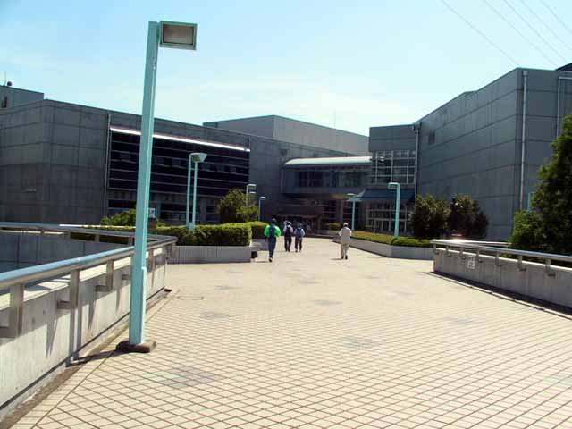 This picture is for quick loading of picture.