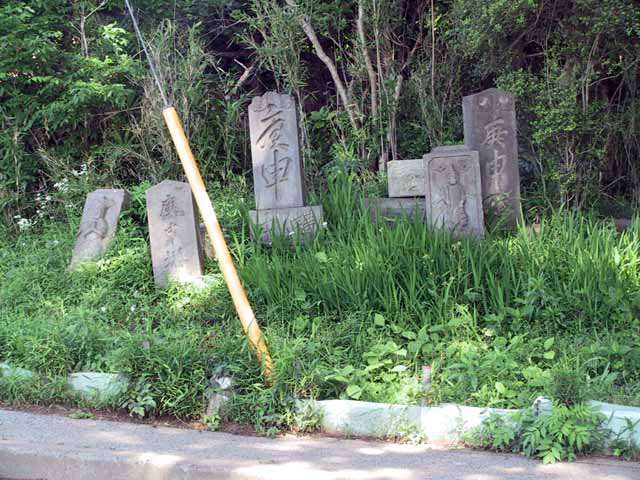 This picture is for quick loading of picture.