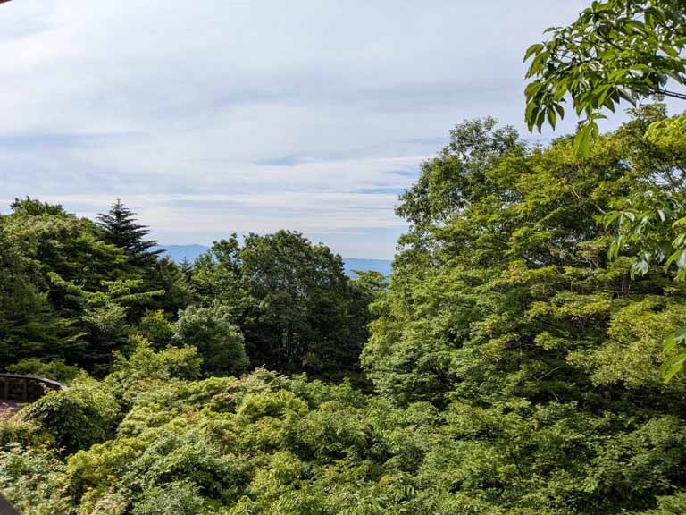 DSC00718.jpg
 ORG[768 x 576] NOW[ 706 x 529]
(�␳�O�{��93���{���␳������91���ŕ\����)