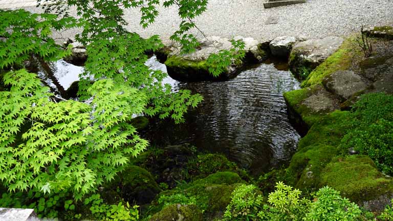 This picture is for quick loading of picture.