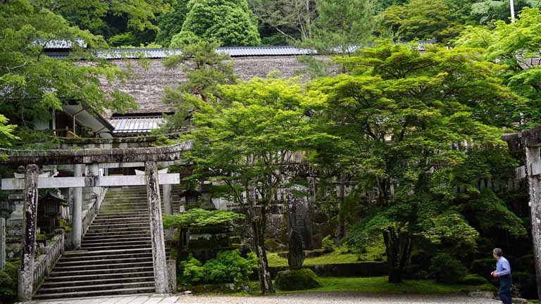 This picture is for quick loading of picture.