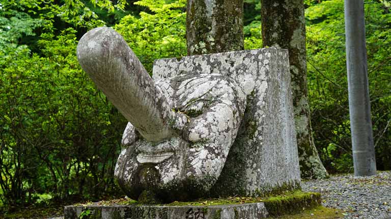 This picture is for quick loading of picture.