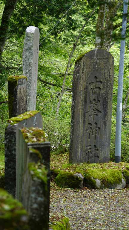 This picture is for quick loading of picture.