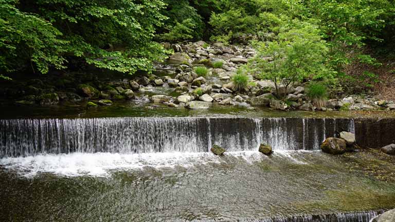 This picture is for quick loading of picture.