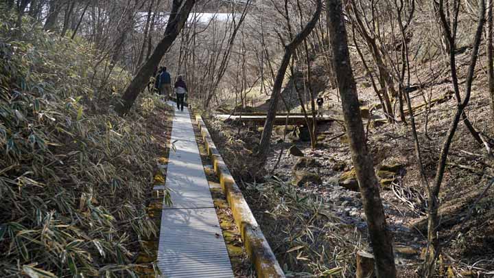 This picture is for quick loading of picture.