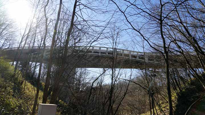 This picture is for quick loading of picture.