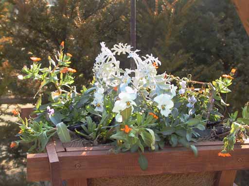 This picture is for quick loading of picture.