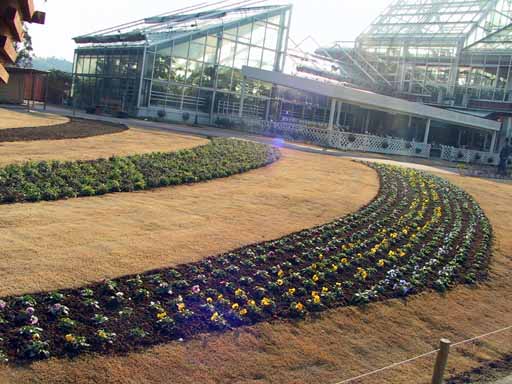 This picture is for quick loading of picture.