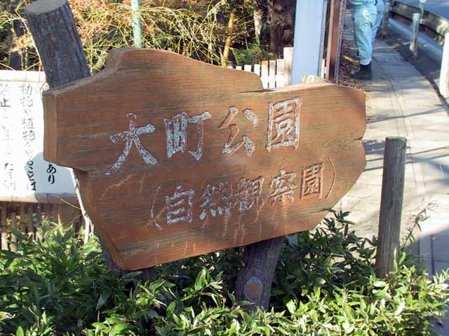 IMG_4329.jpg
 ORG[640 x 480] NOW[ 640 x 480]
(�␳�O�{�����{���␳������100���ŕ\����)