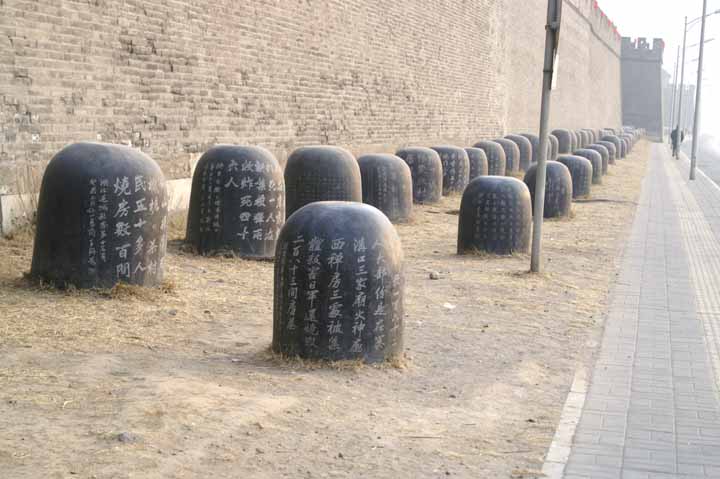 PICA0432.jpg
 ORG[720 x 479] NOW[ 720 x 479]
(�␳�O�{�����{���␳������100���ŕ\����)