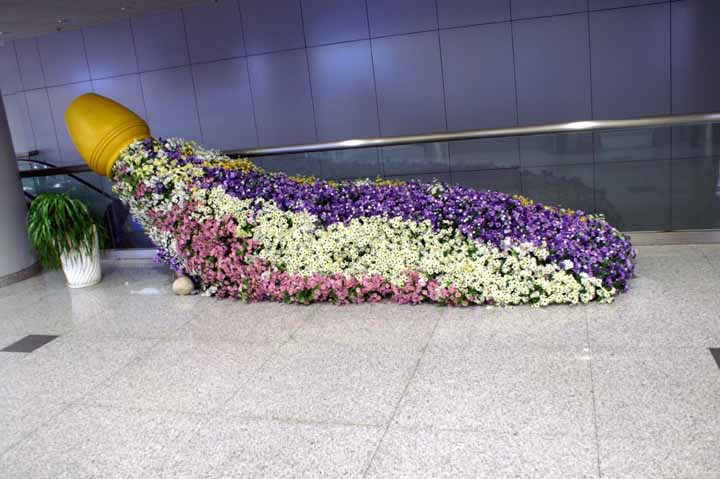 This picture is for quick loading of picture.