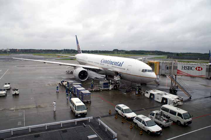 This picture is for quick loading of picture.