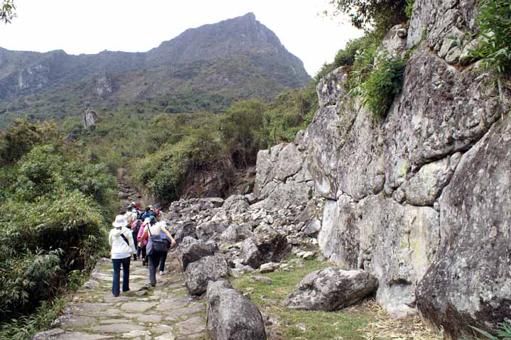 This picture is for quick loading of picture.