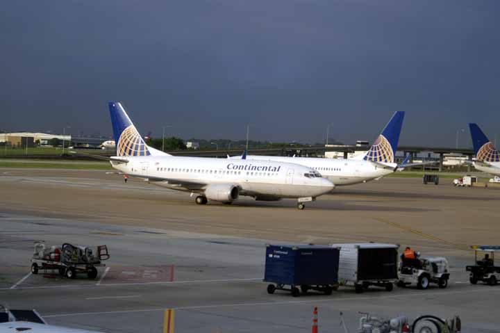 This picture is for quick loading of picture.