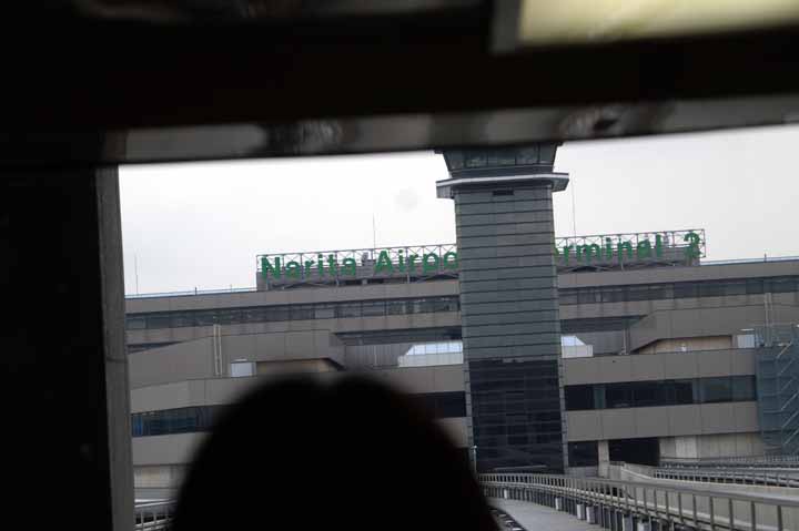 This picture is for quick loading of picture.