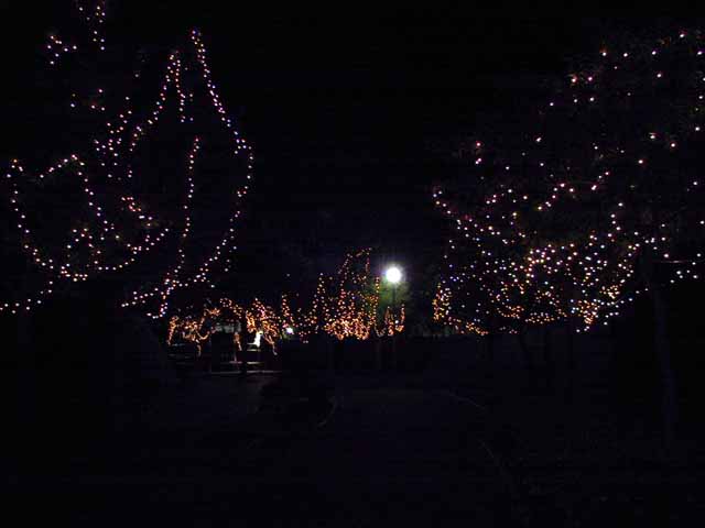 This picture is for quick loading of picture.