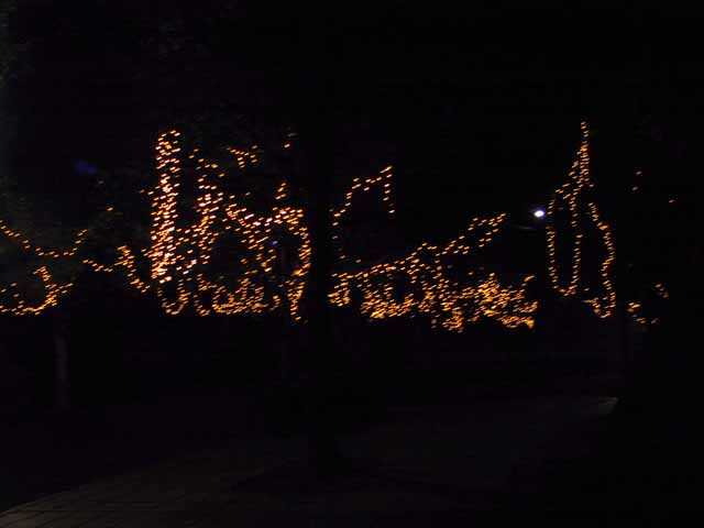 This picture is for quick loading of picture.