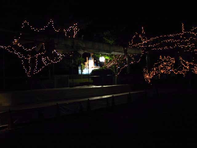 This picture is for quick loading of picture.