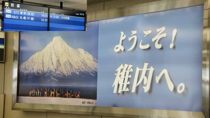 This picture is for quick loading of picture.