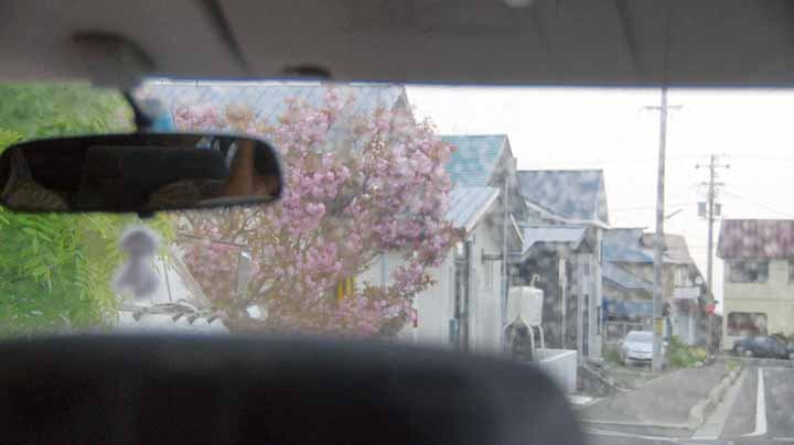 This picture is for quick loading of picture.