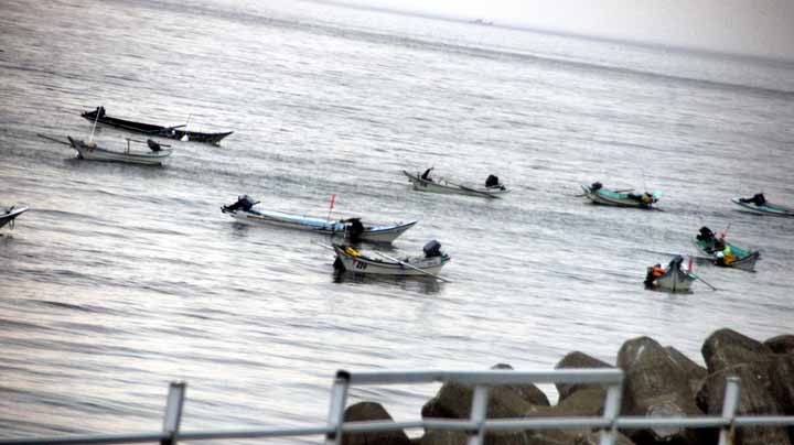 This picture is for quick loading of picture.