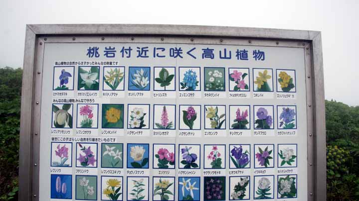 This picture is for quick loading of picture.