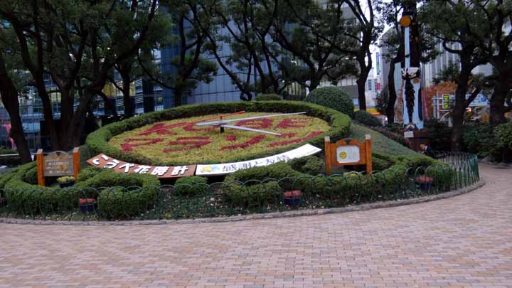 D8A00436.jpg
 ORG[720 x 405] NOW[ 720 x 405]
(�␳�O�{�����{���␳������100���ŕ\����)