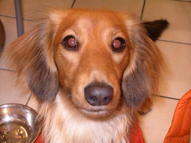 This picture is for quick loading of picture.