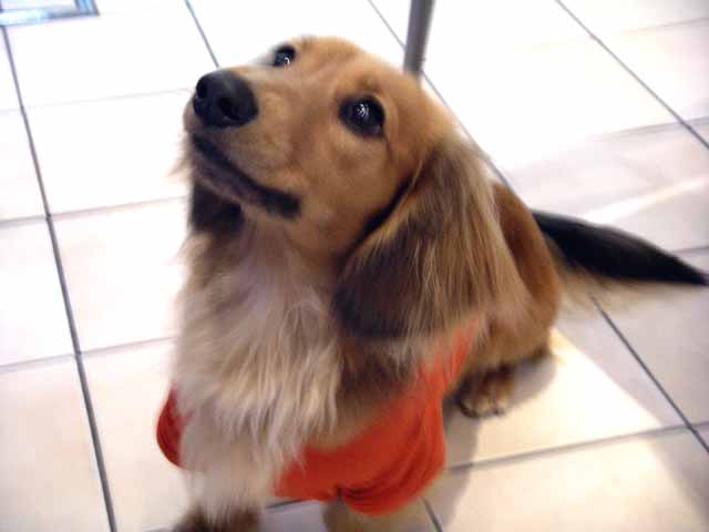 This picture is for quick loading of picture.