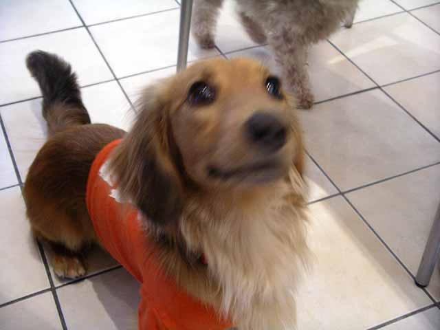 This picture is for quick loading of picture.