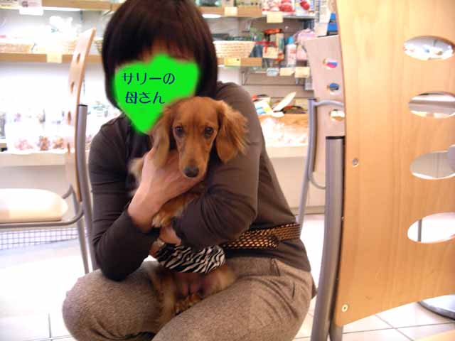 This picture is for quick loading of picture.