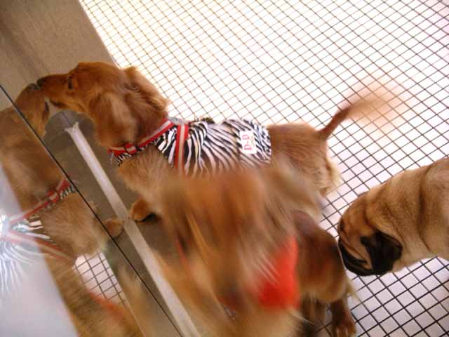 This picture is for quick loading of picture.