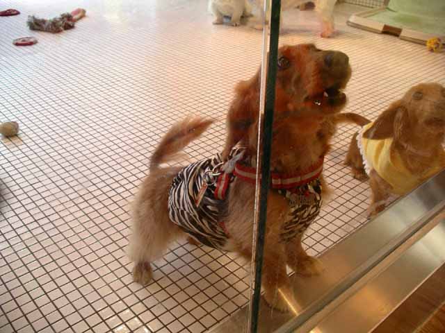 This picture is for quick loading of picture.